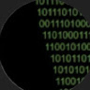 Meet your Posher, Brody